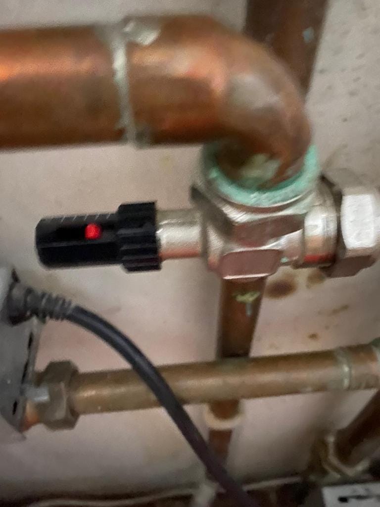 WhatsApp Image 2024-11-14 at 9.45.46 AM (1)