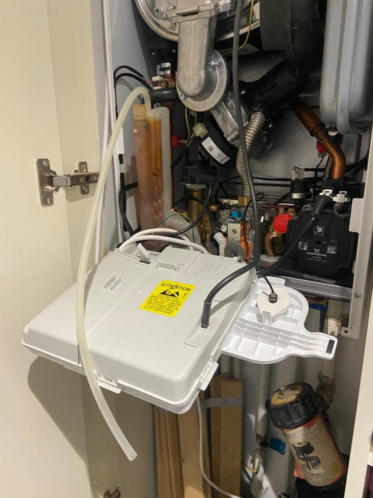 WhatsApp Image 2024-11-14 at 9.45.46 AM