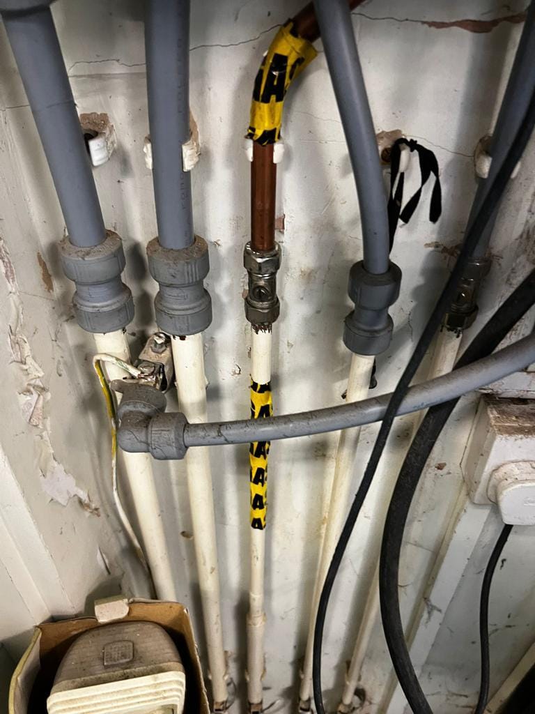 WhatsApp Image 2024-11-14 at 9.45.47 AM (1)